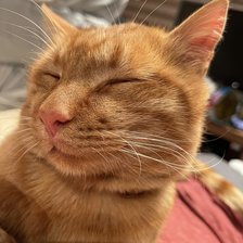 Схема вышивки «Лучик»