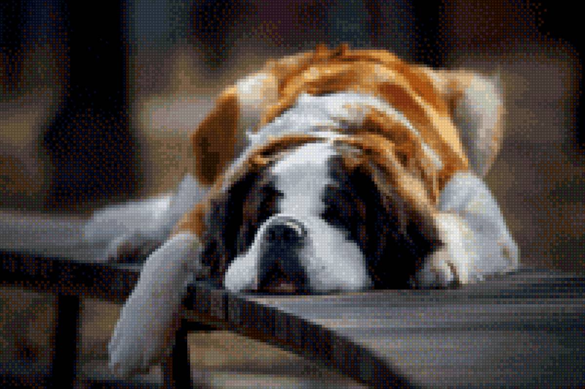 Матильда - сенбернар, собака - предпросмотр