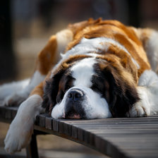 Схема вышивки «Матильда»