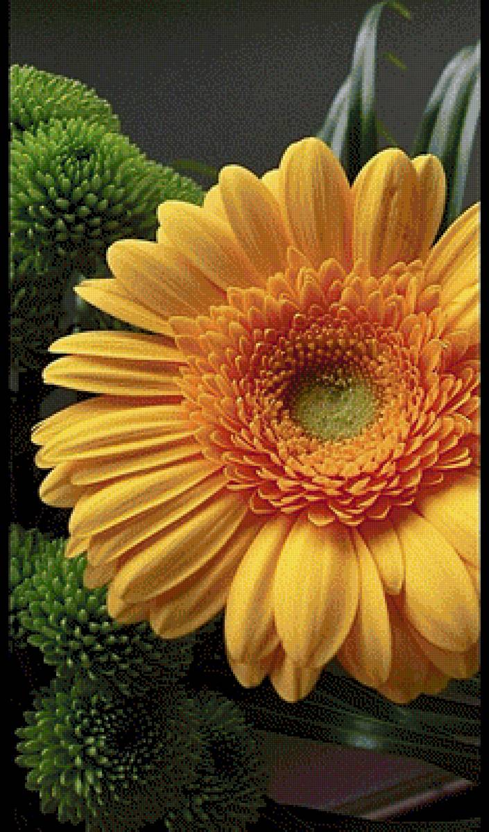 Желтая гербера - цветы, композиция, растения - предпросмотр