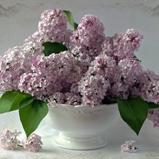 Схема вышивки «№2467364»