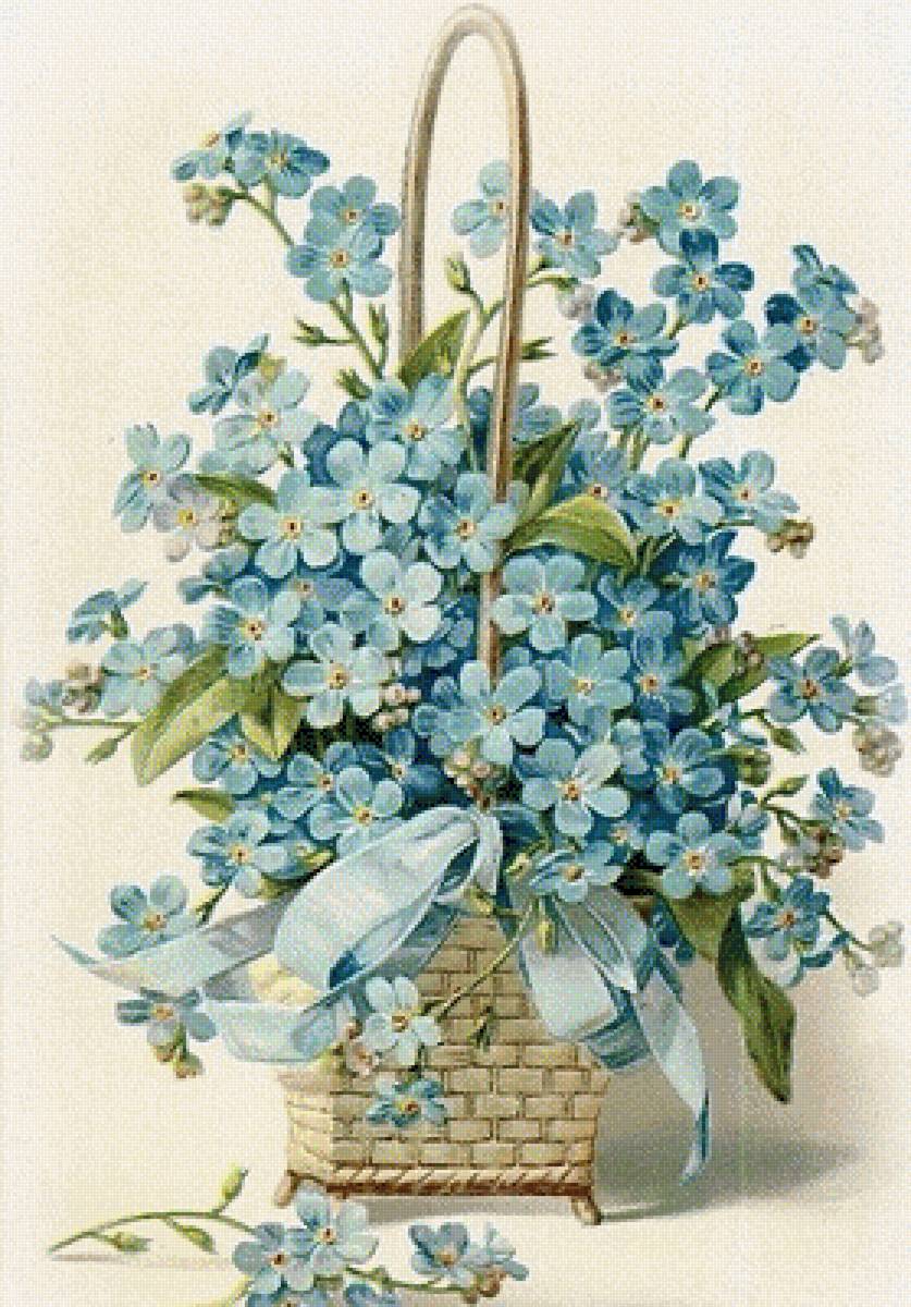 Корзина с незабудками - цветы, растения - предпросмотр