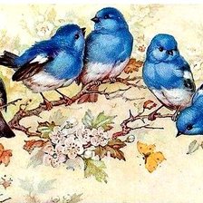 Схема вышивки «птички»