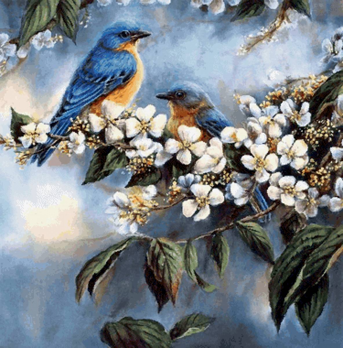 Синие птички - птицы - предпросмотр