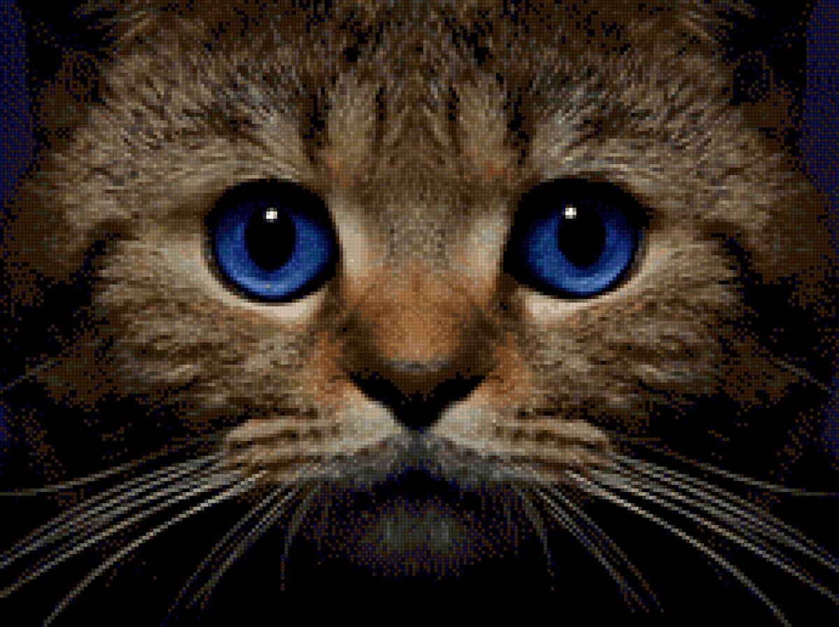 Котейка :) - милый, животные, котики, кот - предпросмотр