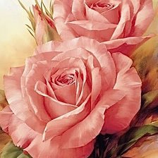 Схема вышивки «Розы»