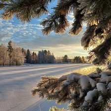 Схема вышивки «№2467881»