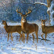 Схема вышивки «Олени в лесу»