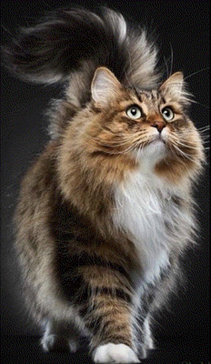 Хозяин жизни - домашние животные, кошки, коты - предпросмотр