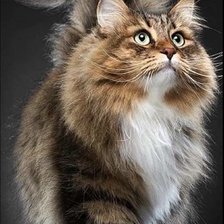 Схема вышивки «Хозяин жизни»