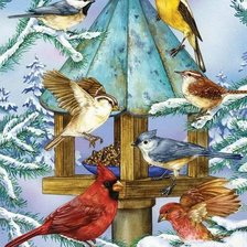 Схема вышивки «птицы»