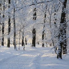 Схема вышивки «№2468637»