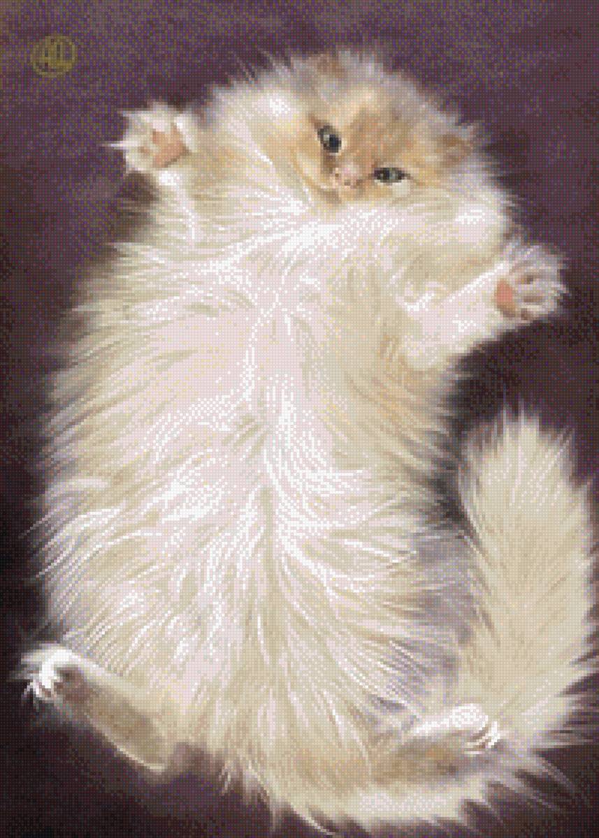 котик - кот - предпросмотр