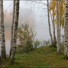 Схема вышивки «№2468965»