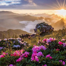 Схема вышивки «Рассвет»