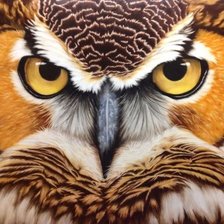 Схема вышивки «Желтый взгляд»