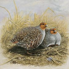 Схема вышивки «№2469281»