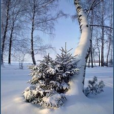 Схема вышивки «№2469467»