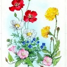 Схема вышивки «полевые цветы»