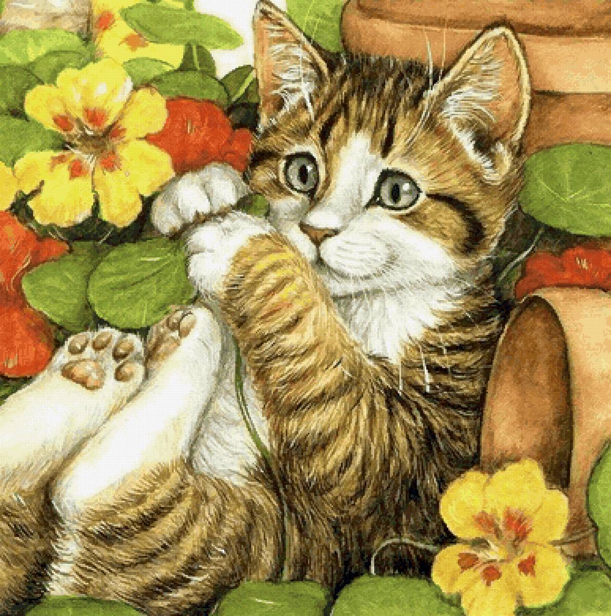 Котенок - забавные котики - предпросмотр