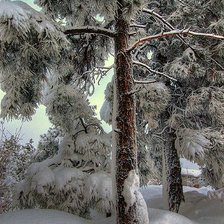 Схема вышивки «№2469701»