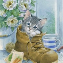 Любопытный котенок