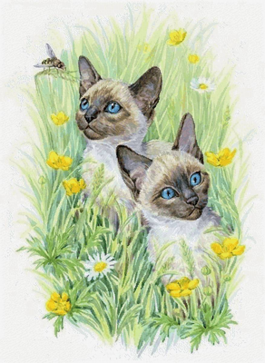 На лугу - забавные котики - предпросмотр