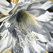 Схема вышивки «Цветок кактуса»