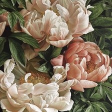 Схема вышивки «Красавец пион»