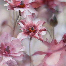 Схема вышивки «№2470000»