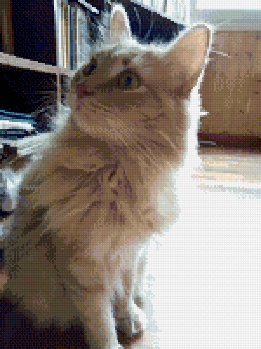 Мишка - предпросмотр