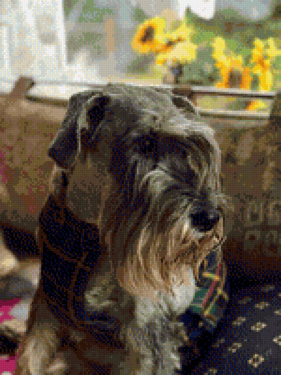 Линда - предпросмотр