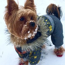 Схема вышивки «снега»