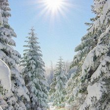 Схема вышивки «№2470296»