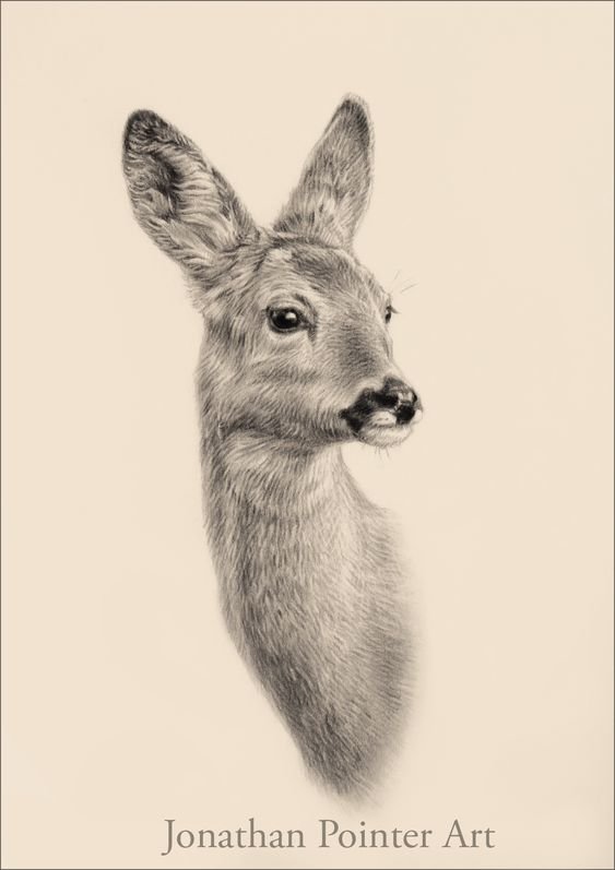 №2470362 - оригинал