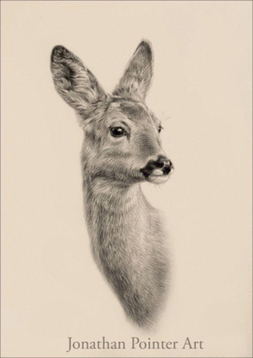 №2470362 - предпросмотр