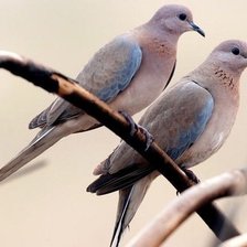 Схема вышивки «№2470367»