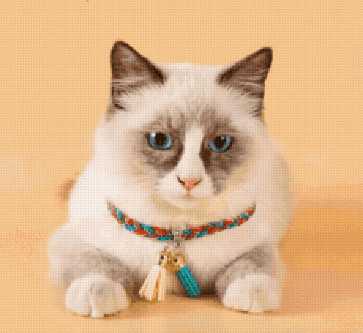 Кото-няшка - кот, животные, милый, котики - предпросмотр