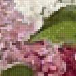 Предпросмотр схемы вышивки «Сирень» (№2470413)