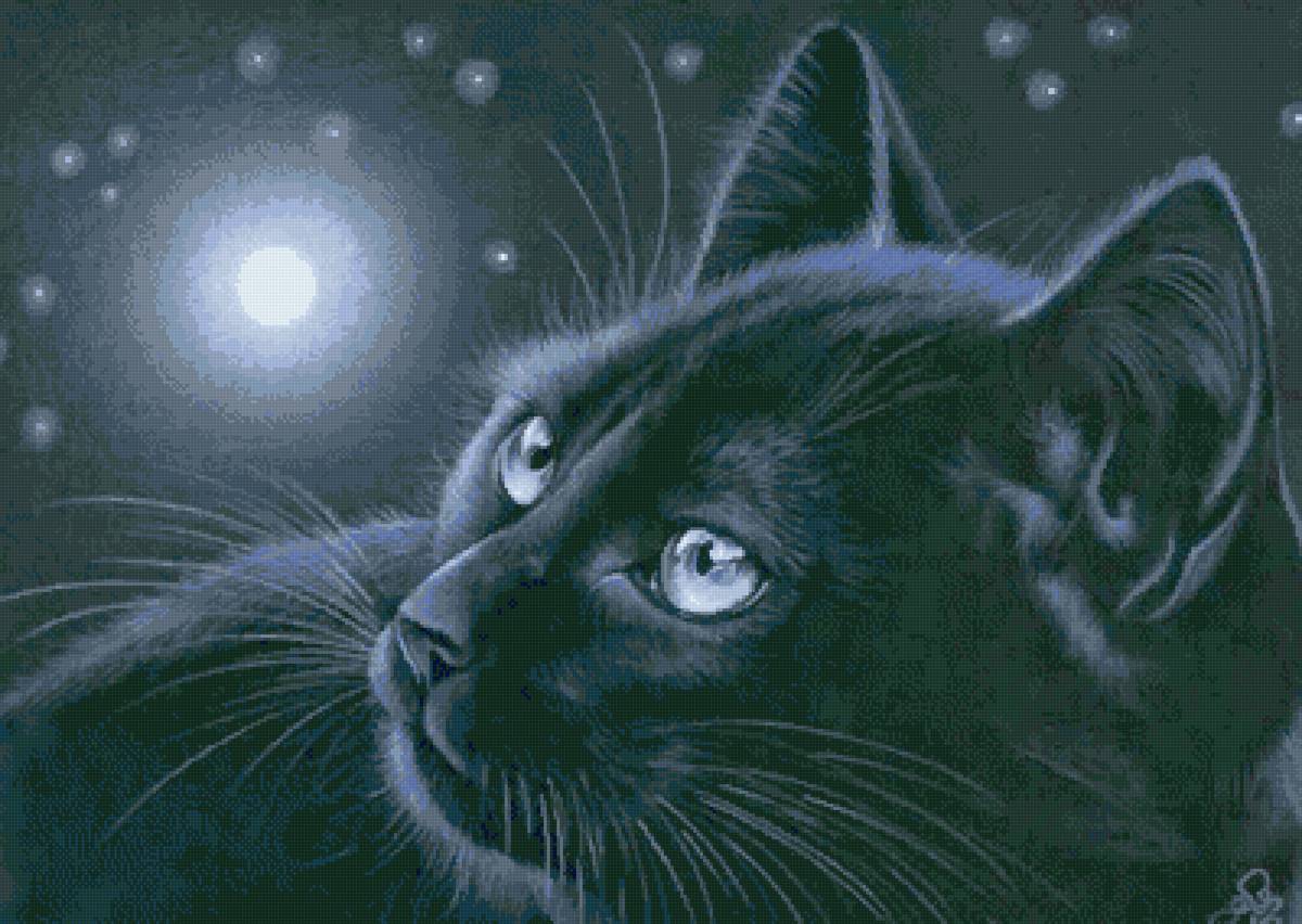 Кот - кот - предпросмотр