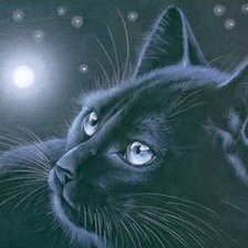 Схема вышивки «Кот»