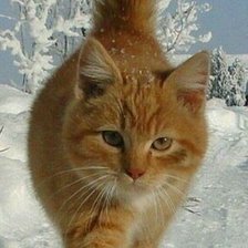 Схема вышивки «№2470453»