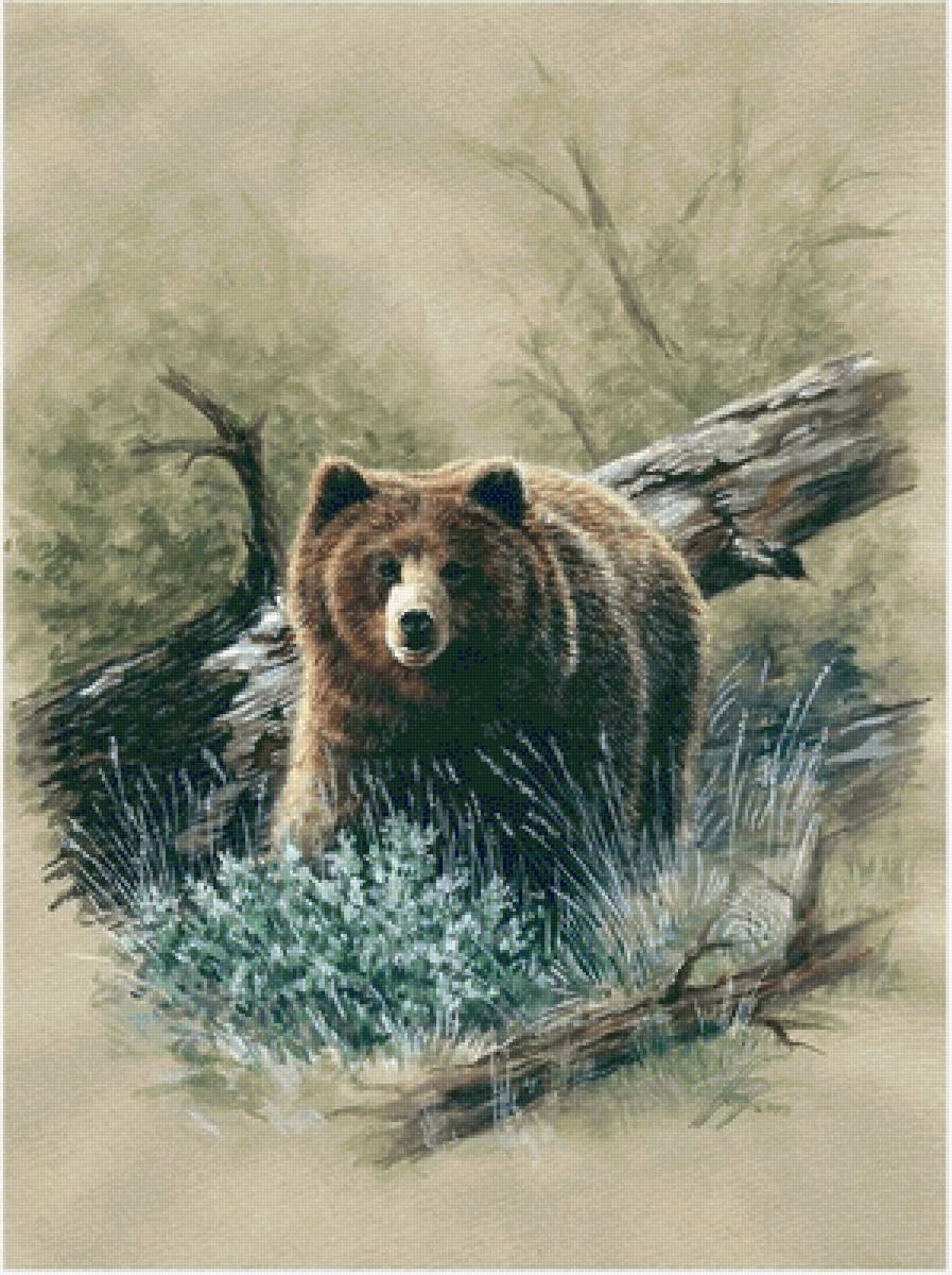 №2470459 - предпросмотр