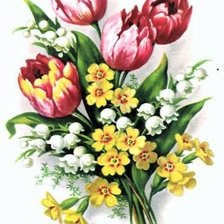 Схема вышивки «тюльпаны»