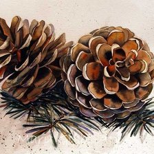 Схема вышивки «шишики»