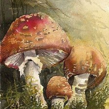 Схема вышивки «розовый мухомор»