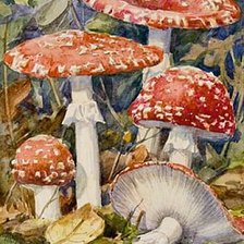 Схема вышивки «мухоморы»