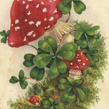 Схема вышивки «мухоморы»