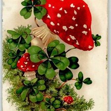 Схема вышивки «мухоморы»