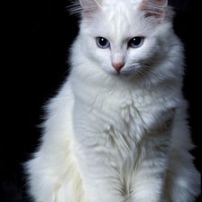 Схема вышивки «№2470744»